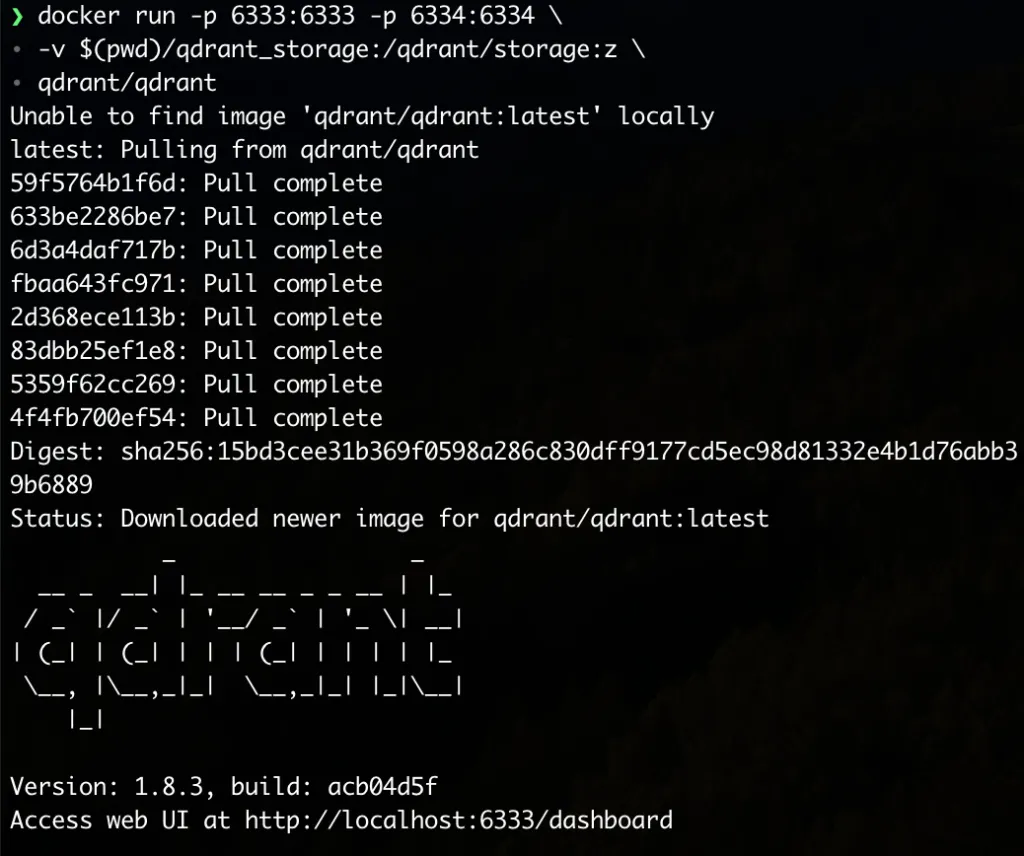 Qdrant を docker でインストールする方法の画面（1）