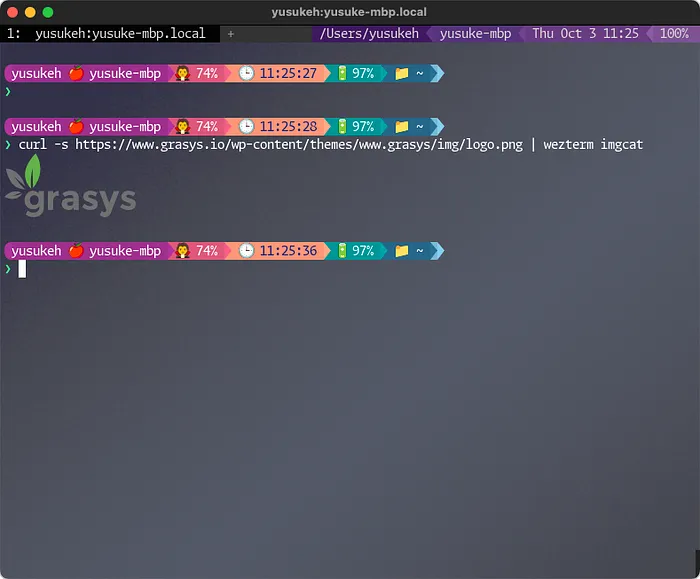 Terminal で画像表示の画面