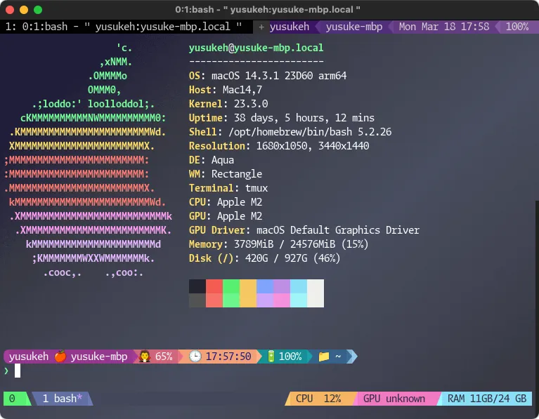 ターミナルがダサいとモテない。tmux + tpm 紹介編(2)