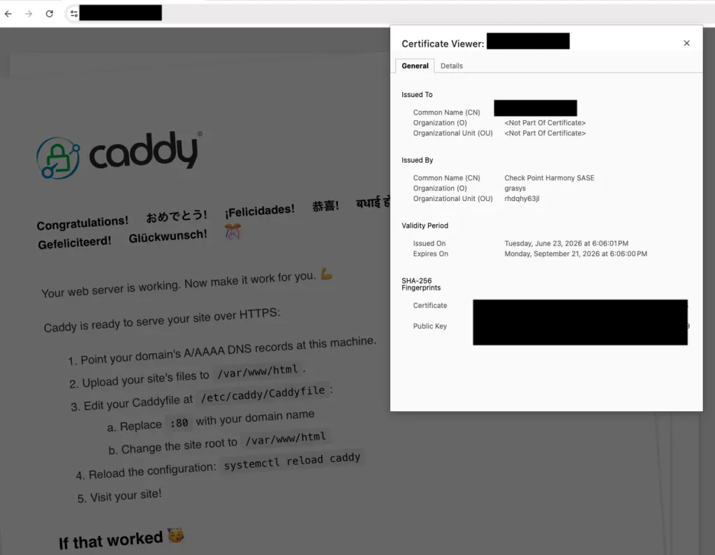 Caddyfileの設定を更新する画面
