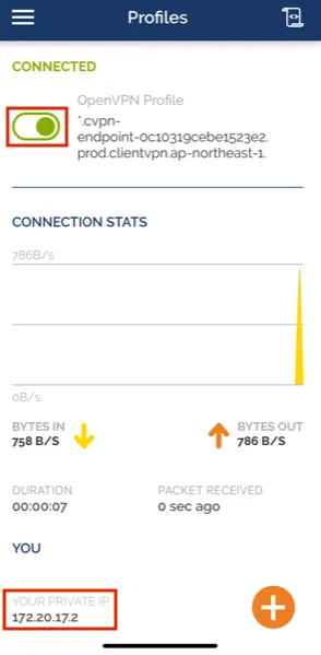 ②クライアント側の VPN 接続用アプリ設定の画面（4）