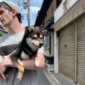 e-reederのプロフィール画像